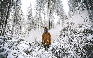 person standing beside trees, mask, people, outdoors, winter
