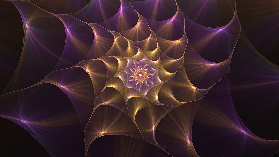 purple and white digital wallpaper HD wallpaper