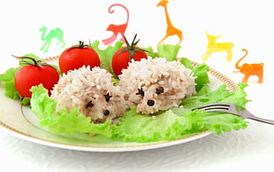 rice on top of green lettuce plating HD wallpaper