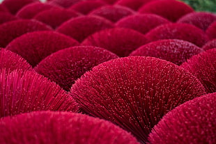 red brush, Decoration, Red, 5K HD wallpaper
