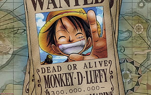 One Piece Monkey D Luffy, One Piece, anime, Monkey D. Luffy