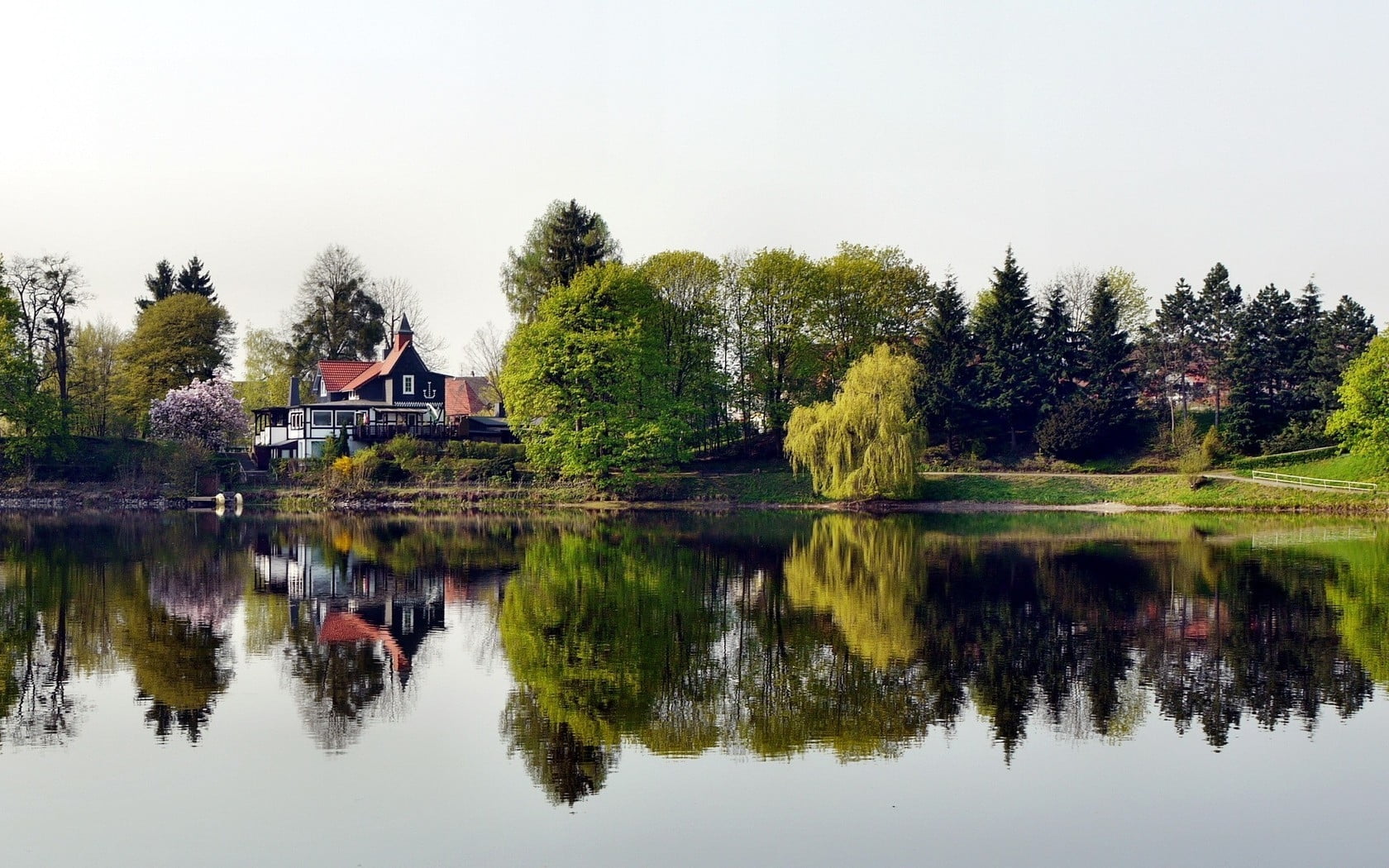 clear body of water in front of forest field