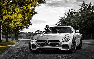 selective color of trees beside Mercedes-Benz coupe parked on road