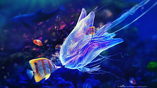 yellow fish and jelly fish, fantasy art, digital art, underwater, bubbles