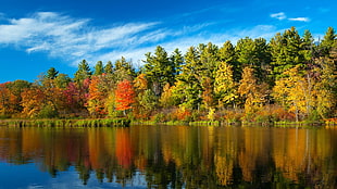 reflection of trees on body of water, fall, forest, river, nature