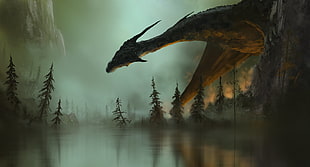 dragon in forest illustration HD wallpaper