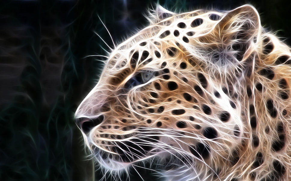 leopard digital wallapper HD wallpaper