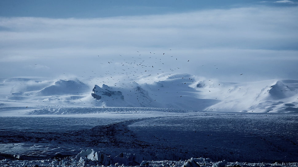 snow-covered mountain, birds, mountains, winter, snow HD wallpaper