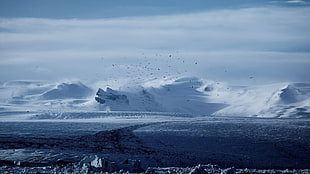 snow-covered mountain, birds, mountains, winter, snow HD wallpaper