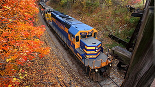 blue and yellow transit train aerial view