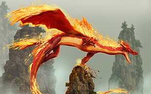 red dragon illustration