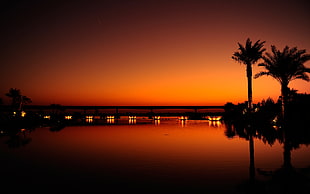 silhouette photography of 2 palm trees during golden hour HD wallpaper