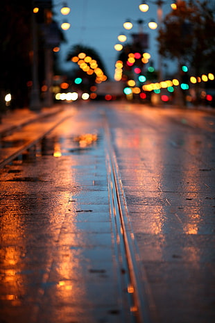 depth of field photography of grey concrete road with orbs of light HD wallpaper