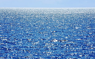 blue sea, water, sea