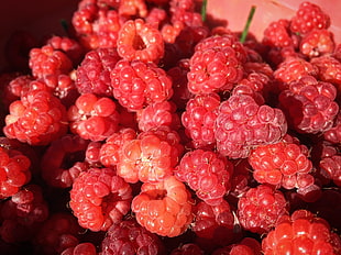 raspberries