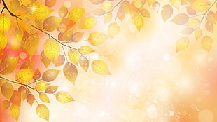 yellow leaves, leaves