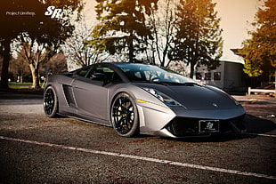 silver Lamborghini Gallardo HD wallpaper