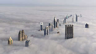 high rise building covered with white fogs