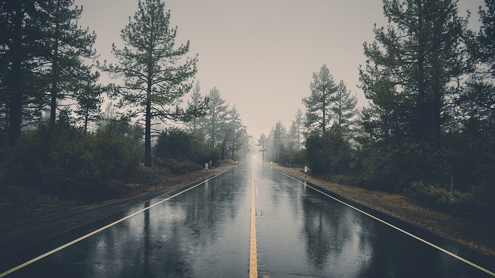 black concrete road HD wallpaper