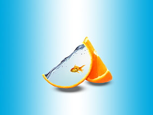 orange fruit goldfish abstract digital artwork, fish, orange, orange (fruit), digital art HD wallpaper