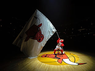 Chicago Bulls mascot waving flag