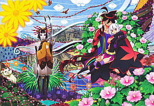poster of anime, manga, Katanagatari, Yasuri Shichika, Togame