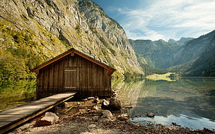 brown wooden hoyse, cabin, nature, lake
