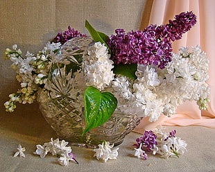 assorted flowers on clear glass vase