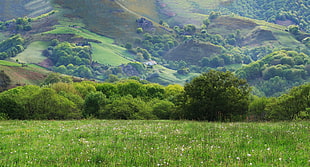green grass field with mountain background