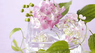 pink Phlox flower centerpiece