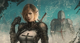female anime character illustration, fantasy art, Templar, warrior, elves