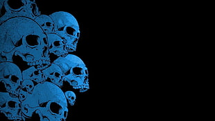 white skulls print with black background, skull HD wallpaper
