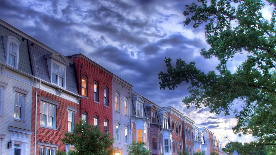 multi-story buildings painting HD wallpaper