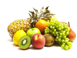 assorted fruits illustration