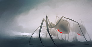 gray spider, CGI, Black Widow, spider, white