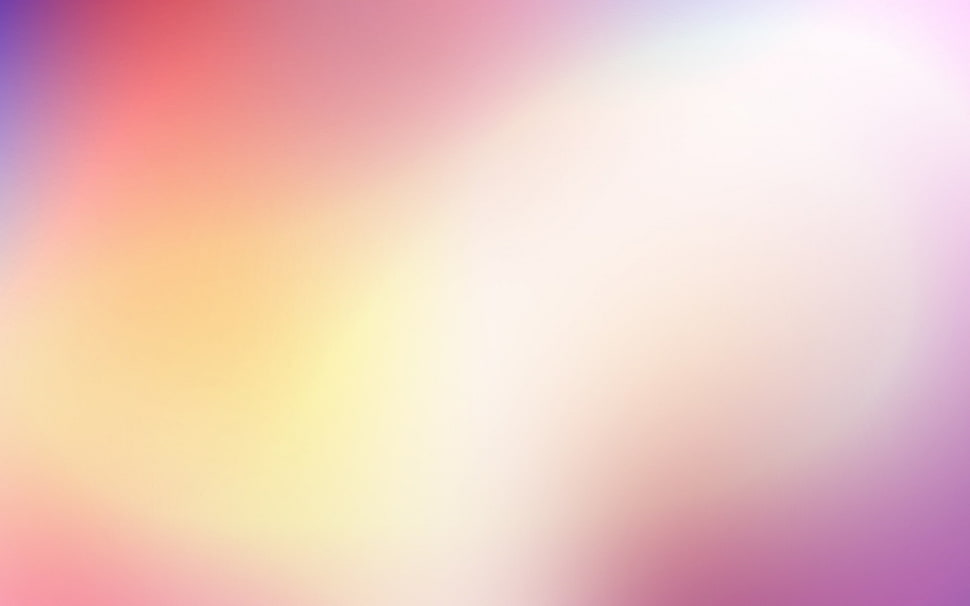 Spot,  Light,  Tenderness HD wallpaper