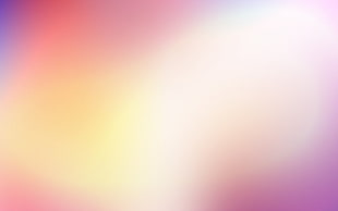 Spot,  Light,  Tenderness