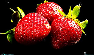 three red strawberries HD wallpaper