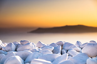 selective focus photo of bunch of white pebbles