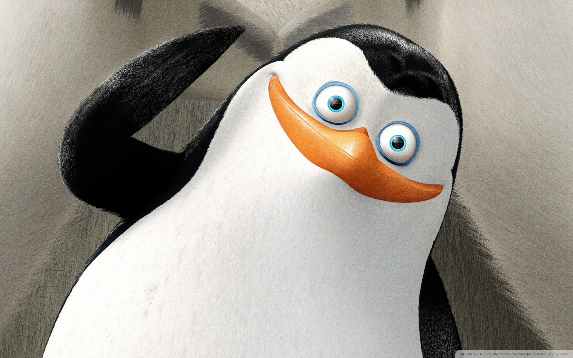 penguins-of-madagascar-cartoon-movies-penguins-wallpaper.jpg