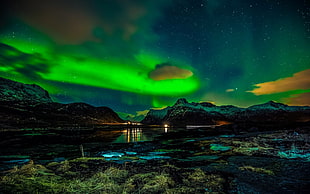 Aurora Borealis, Lofoten Islands, Norway, polar night, aurorae HD wallpaper