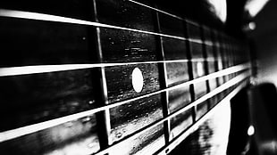 greyscale and closeup photograph of guitar strings HD wallpaper