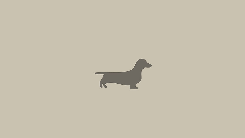 dachshund logo, dog, artwork, animals, minimalism HD wallpaper