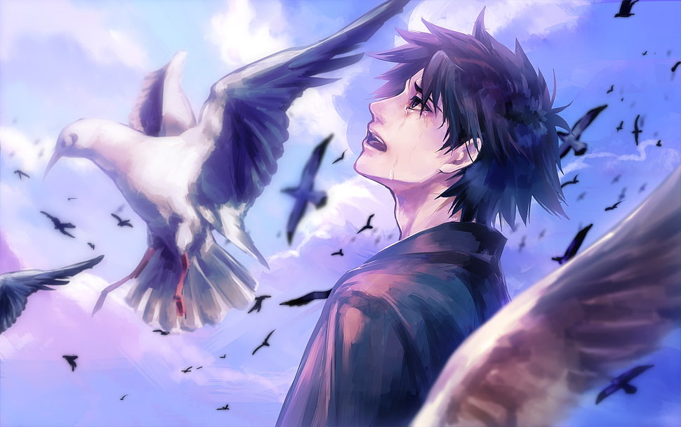 blue haired male animated illustration, Fate Series, Kiritsugu Emiya, birds, crying HD wallpaper