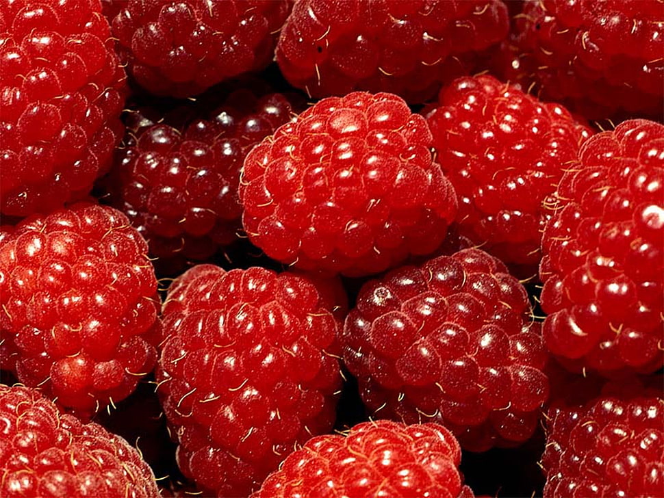 raspberries HD wallpaper