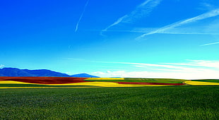 time-lapse landscape photography of green grass field under blue sky, gormaz, soria