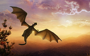closeup photo of flying dragon during golden time graphic wallpaper