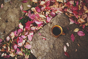 beige ceramic mug, cup, fall, leaves, fallen leaves