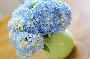 blue floral decor