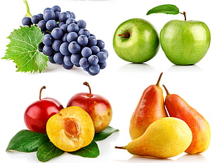fruits illustration HD wallpaper